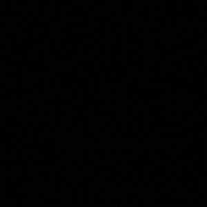 Meet your Posher, Dillon